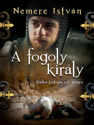cover image of A fogoly király